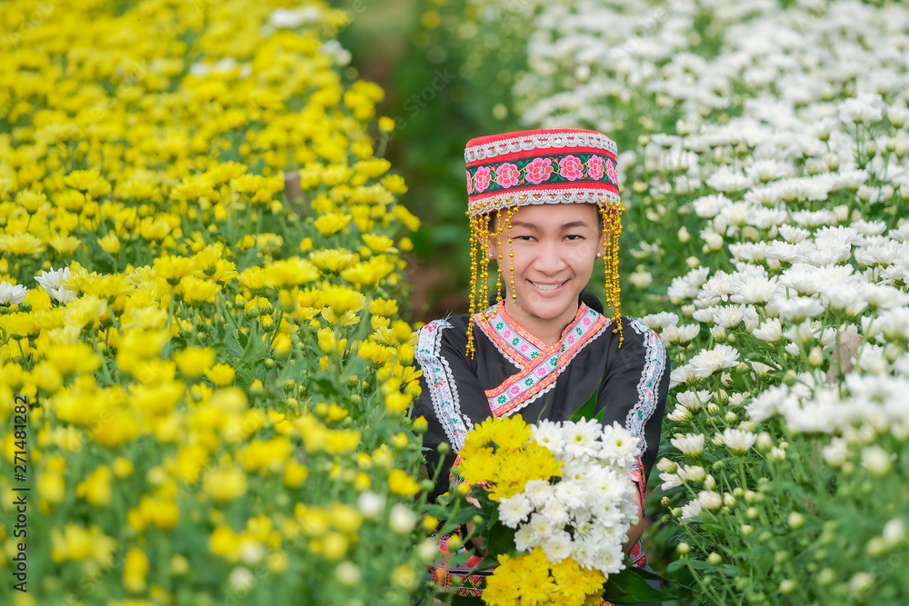 Indigenous people in northern Thailand and the collection of chrysanthemums in the garden Indigenous people in northern Thailand and the collection of chrysanthemums in the garden