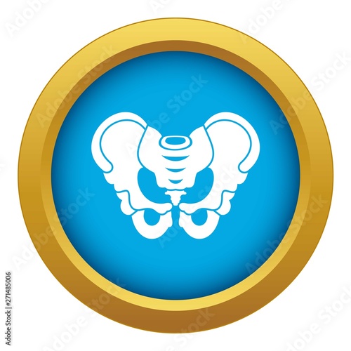 Pelvis icon blue vector isolated on white background for any design