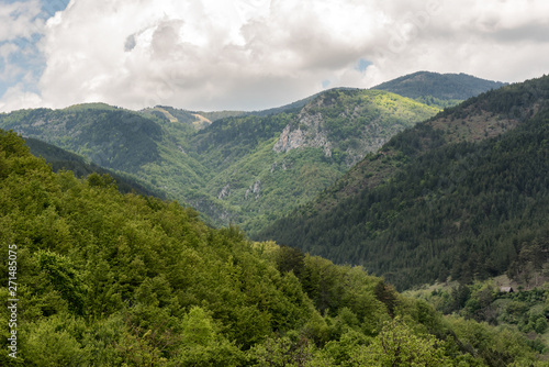 Landscape of Zlatibor Mountain. Green meadows and hills under blue sky with clouds in springtime