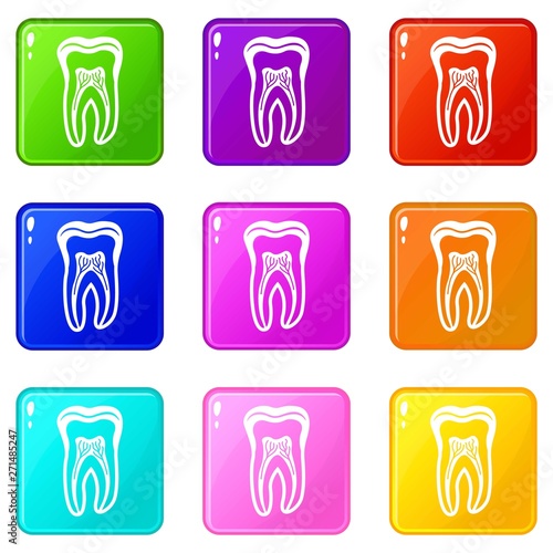 Tooth structure icon. Simple illustration of tooth structure vector icon for web