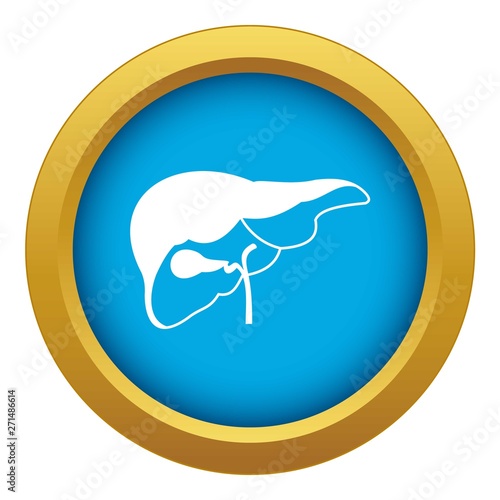 Liver icon blue vector isolated on white background for any design
