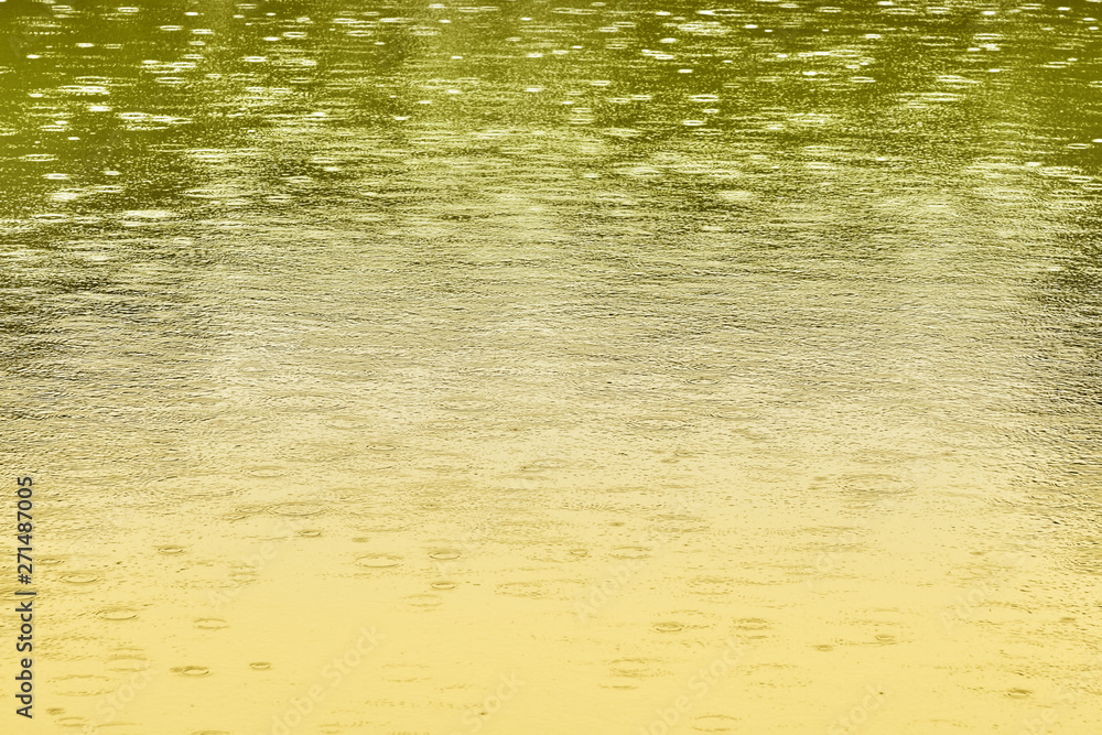 Fototapeta premium Auf einem Teich sind Kreise von Regentropfen zu sehen.