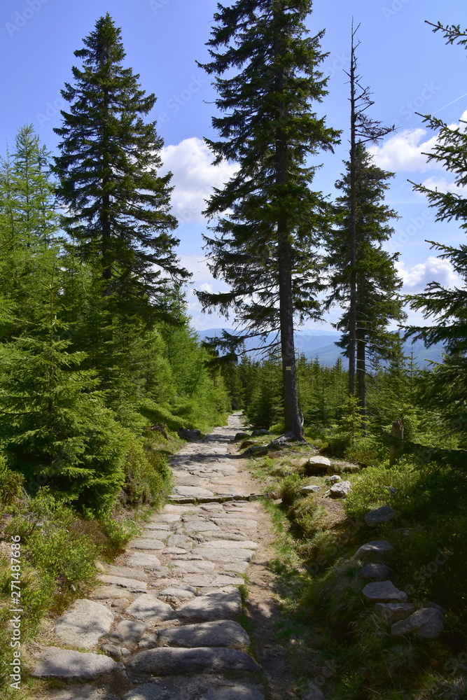 Obraz premium Karkonoski Park Narodowy