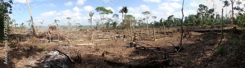 Area of illegal deforestation of vegetation native to the Brazilian Amazon forest photo