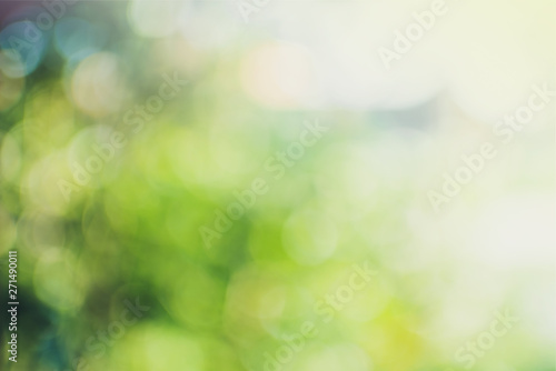 Defocused green nature background. Blured. Out of focus.