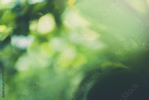Defocused green nature background. Blured. Out of focus.