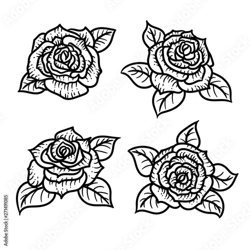 Vector hand drawn black and white set of roses in the engraving style on white background.