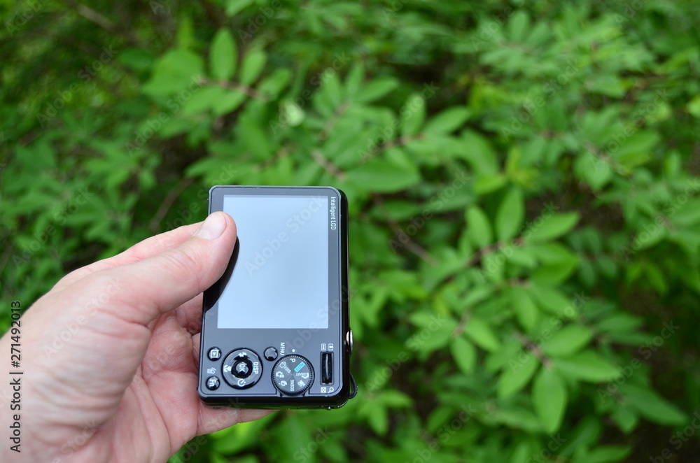 female hand with a small camera on the background of green grass