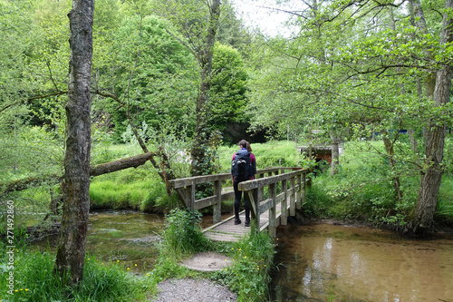 Brücke über die Rodalb, Pfälzer Wald