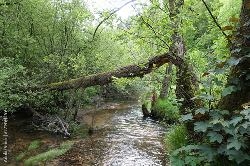 Rodalb bei Rodalben photo