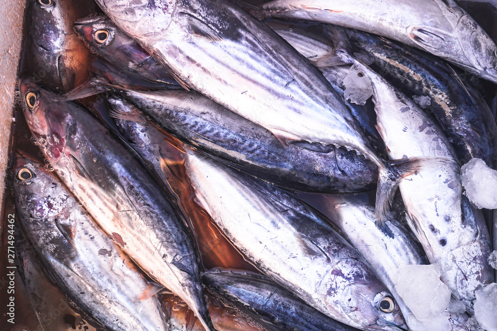Obraz premium Fish market in Asia. Catching sea and ocean animals in the Indian Ocean. Tuna on shelves for sale. Exotic background
