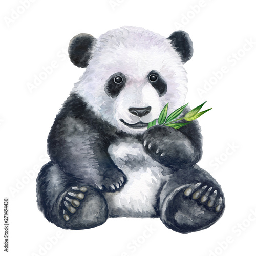 Cute panda with bamboo isolated on white background. Bear. Watercolor. Illustration. Clip art. Hand painted.