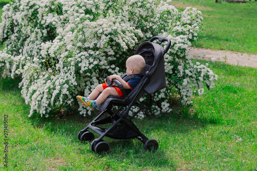 A little boy sits in a baby carriage by a beautiful bush on a sunny day.