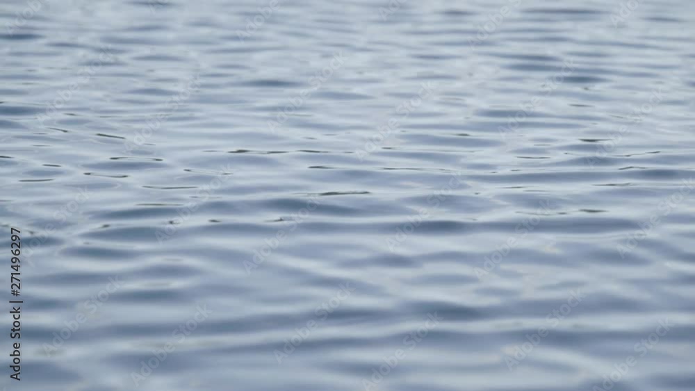 lake water flows calmly away from camera lake water flows calmly away from camera