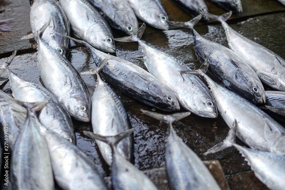 Fish market in Asia. Catching sea and ocean animals in the Indian Ocean. Tuna on shelves for sale. Exotic background Fish market in Asia. Catching sea and ocean animals in the Indian Ocean. Tuna on shelves for sale. Exotic background