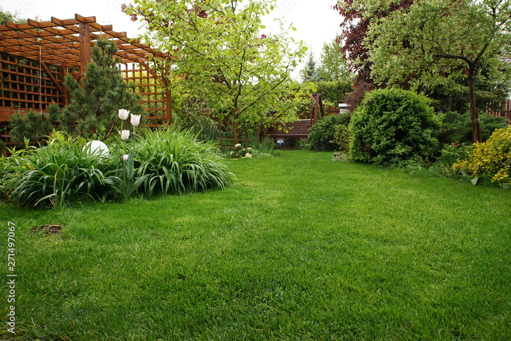 Naklejka premium Trawnik w ogrodzie