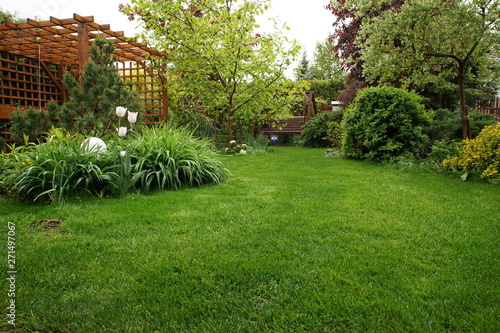 Trawnik w ogrodzie photo