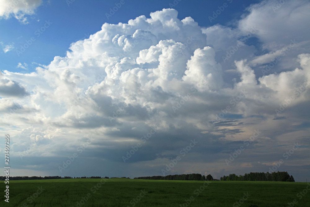 A huge cumulus and cumulonimbus clouds on the blue sky background over wheat field in European woodlands A huge cumulus and cumulonimbus clouds on the blue sky background over wheat field in European woodlands