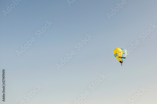 Bird Hot Air Balloon In Flight