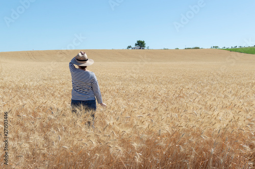 Persona camina sobre el campo de trigo