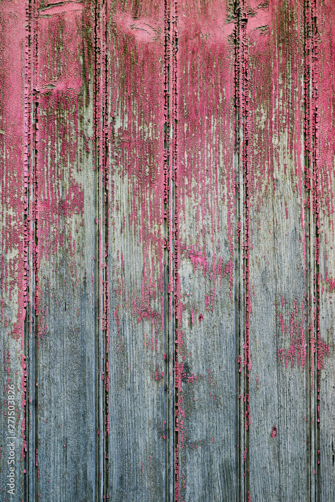 Old wooden pink door grunge texture. Old wooden pink door grunge texture.