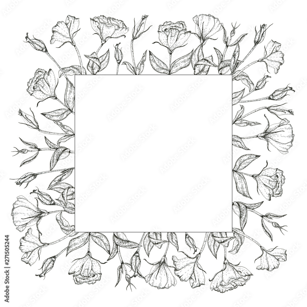 Decorative square frame with hand-drawn prairie gentian (lisianthus) flowers and leaves. Ink-drawn. Black and white design element. Isolated on white. Design template