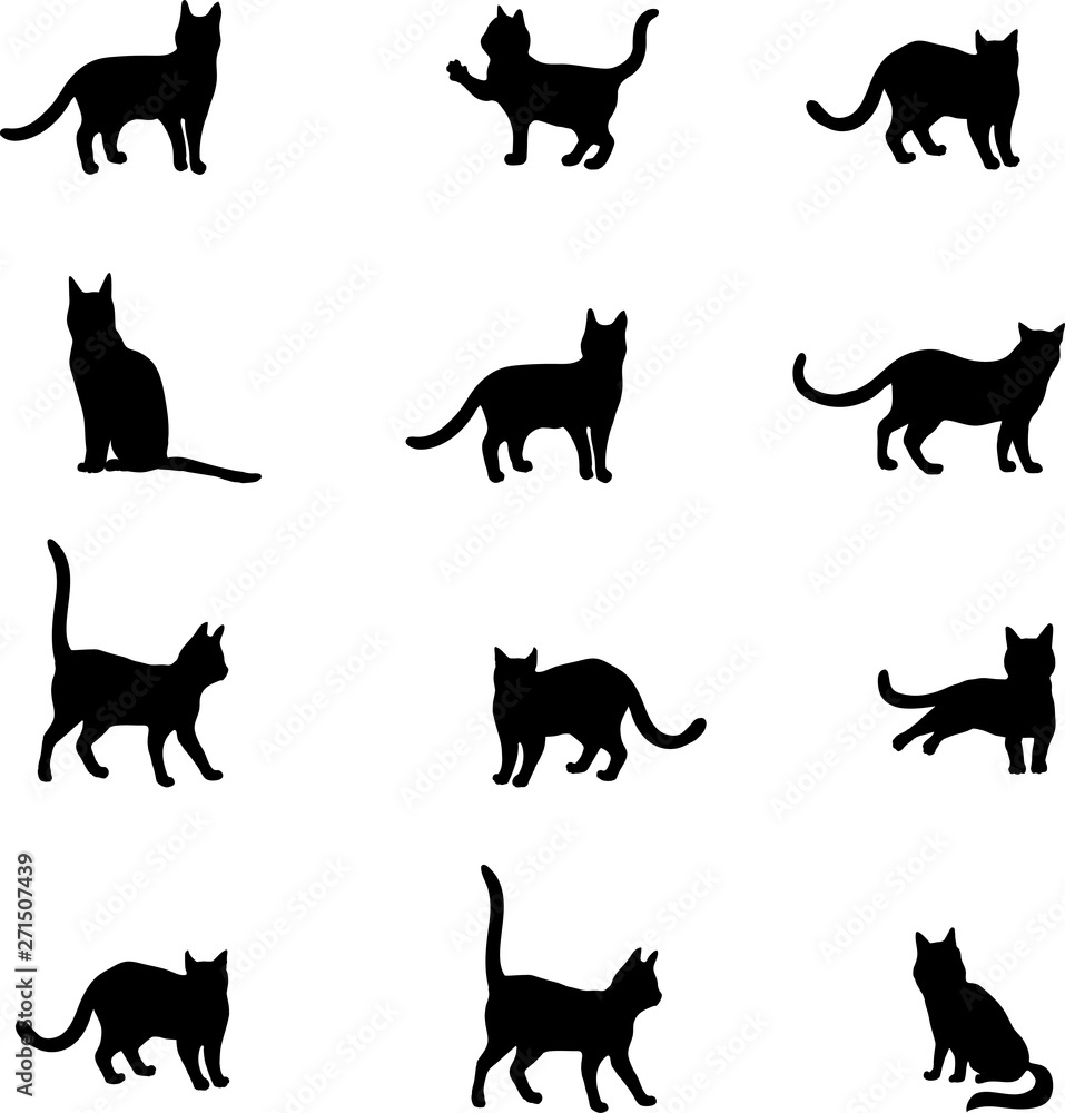 cats pattern, vector, art, black cats, monochrome,  black, white, contour, silhouette, animals, set, isolated, kitten, kitty, cat trail, clip art, picture, style design, décor, interior, illustration