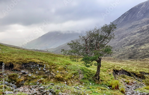 West Hiland Way Track, landscape between Kinlochleven and Fort William, long distance hike - Scotland, UK photo