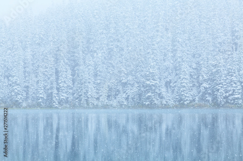 Snow at Joffre Lakes Provincial Park, Pemberton, Canada