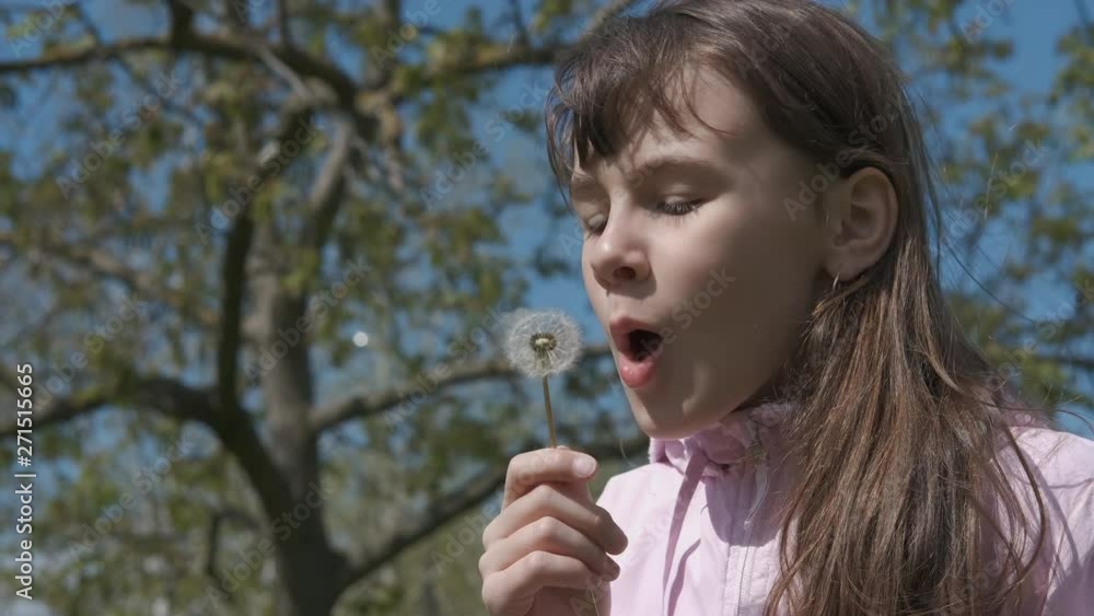 Teen girl blowing fluffy dandelion. Girl with fluffy dandelions. Teen girl blowing fluffy dandelion. Girl with fluffy dandelions.