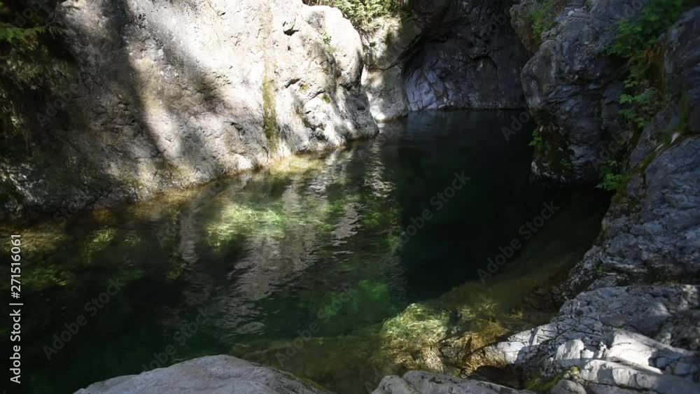 The 30 foot pool at Lynn canyon. The 30 foot pool at Lynn canyon.