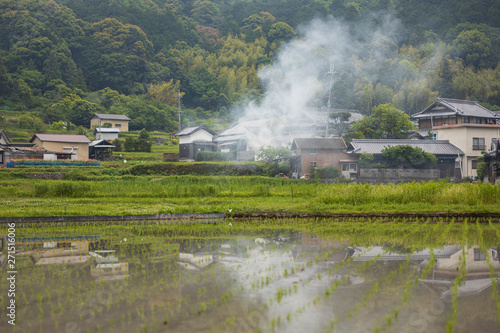 Cloud of smoke reflects in flooded rice field in small Japanese farming village