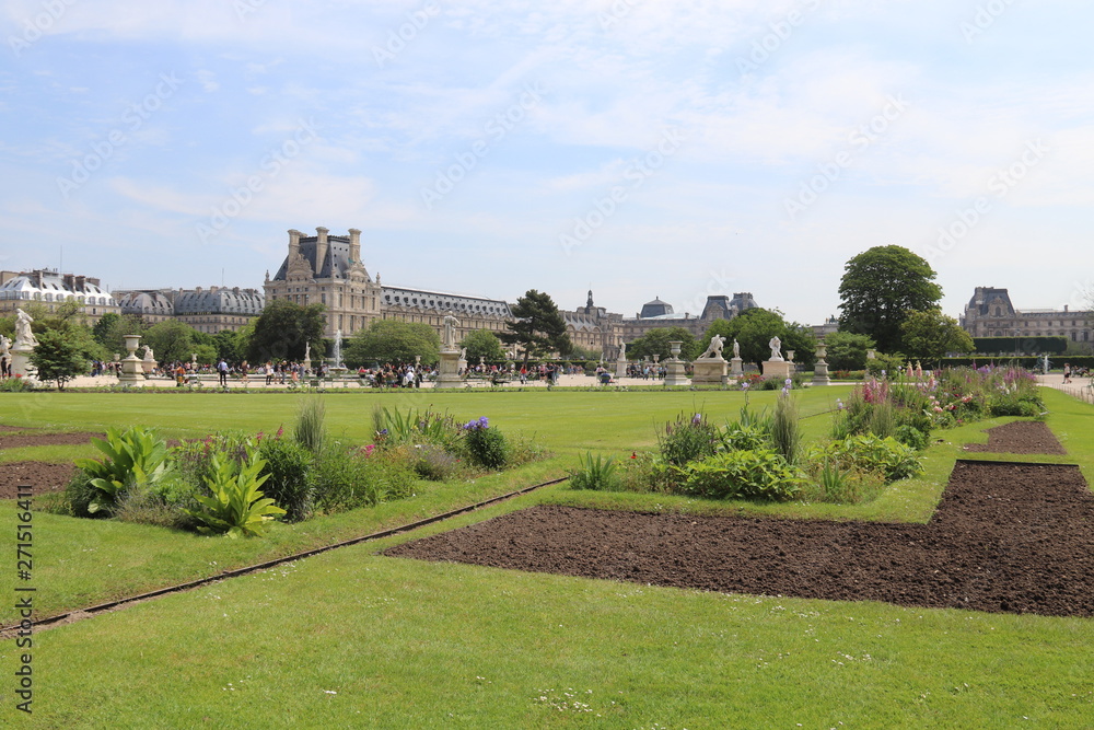 Pelouse du jardin des Tuileries à Paris