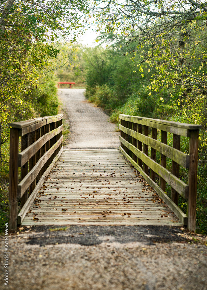 POV Looking down path across foot bridge through woods 