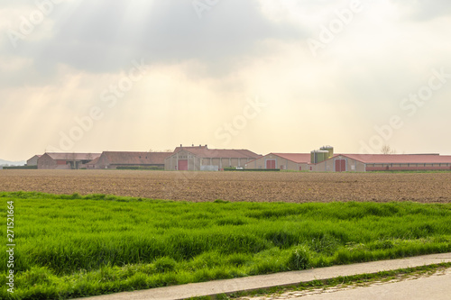 Watou, Belgium - APRIL 6, 2019: Plantation fields and shed on Watou.