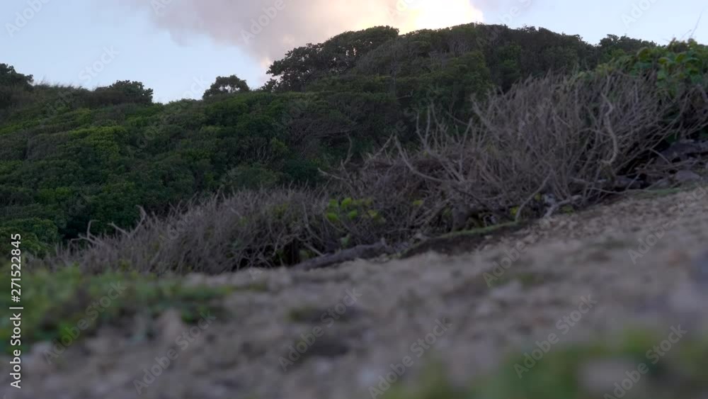 Cool upshot in a green mountainous region revealing a cloudy orange and blue sky right before the sunset Cool upshot in a green mountainous region revealing a cloudy orange and blue sky right before the sunset