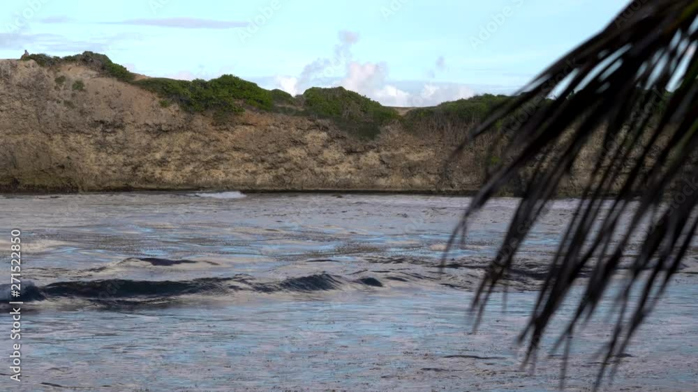 Shot that’s partially obstructed by a leaf showcasing waves rolling onto a secluded beach on a gloomy day