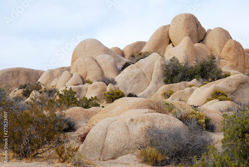 Joshua tree National Park rock formations