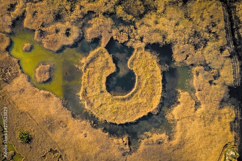 Aerial view of the swamp