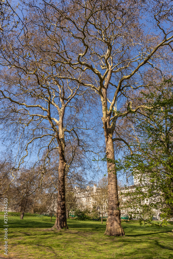 London, England - APRIL 1, 2019: Hyde Park in London, England London, England - APRIL 1, 2019: Hyde Park in London, England