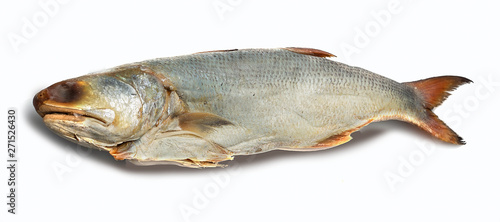 salted fishes on white background