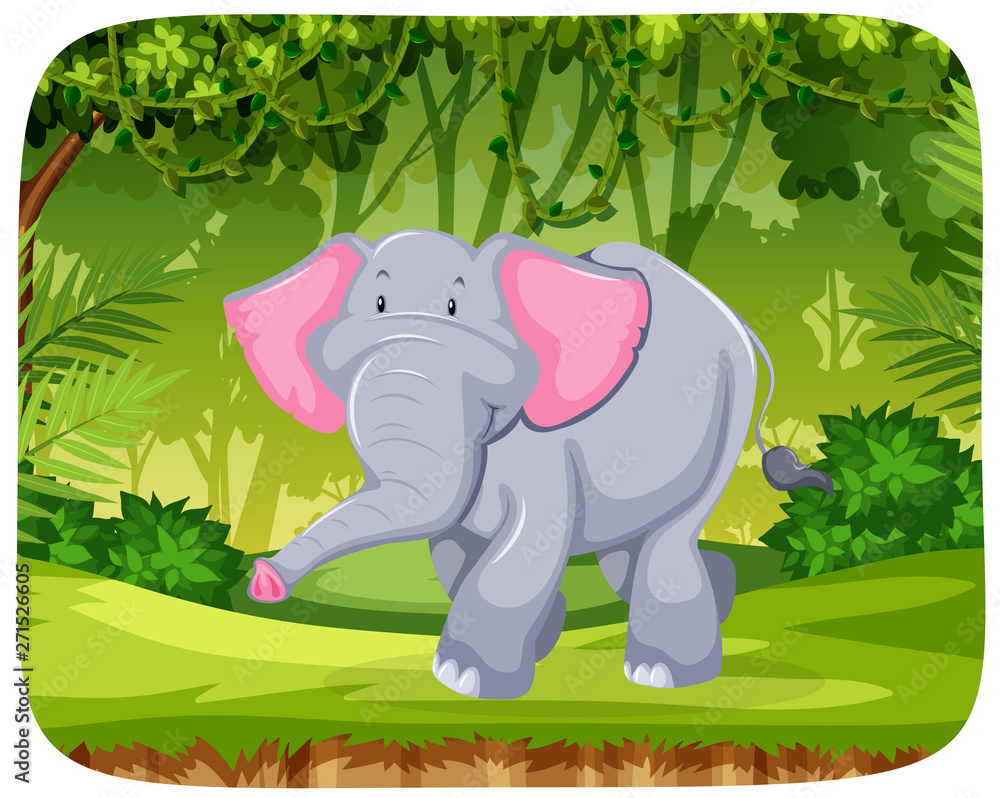 Naklejka premium Elephant in the jungle