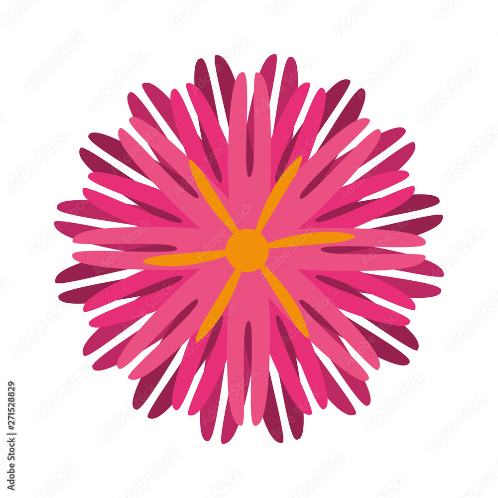 flower blossom icon cartoon isolated