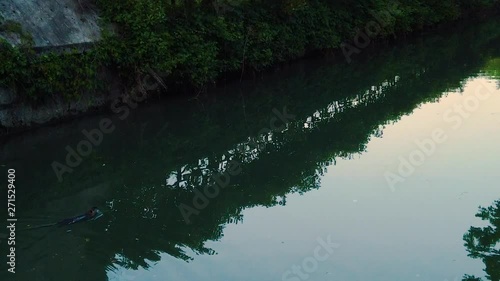 otter swimming in a river at sunset photo