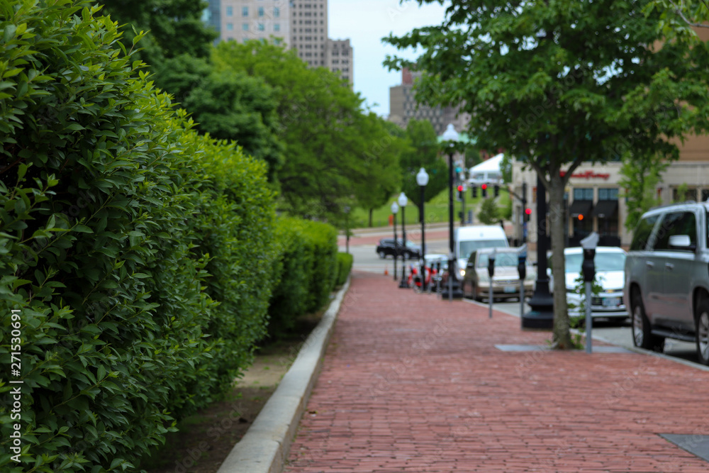 road in the park