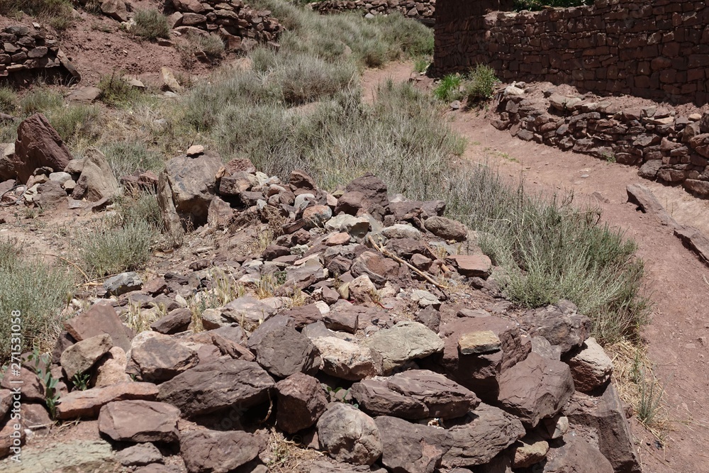 Outdoors, grass, desert, mountain road in the desert Outdoors, grass, desert, mountain road in the desert