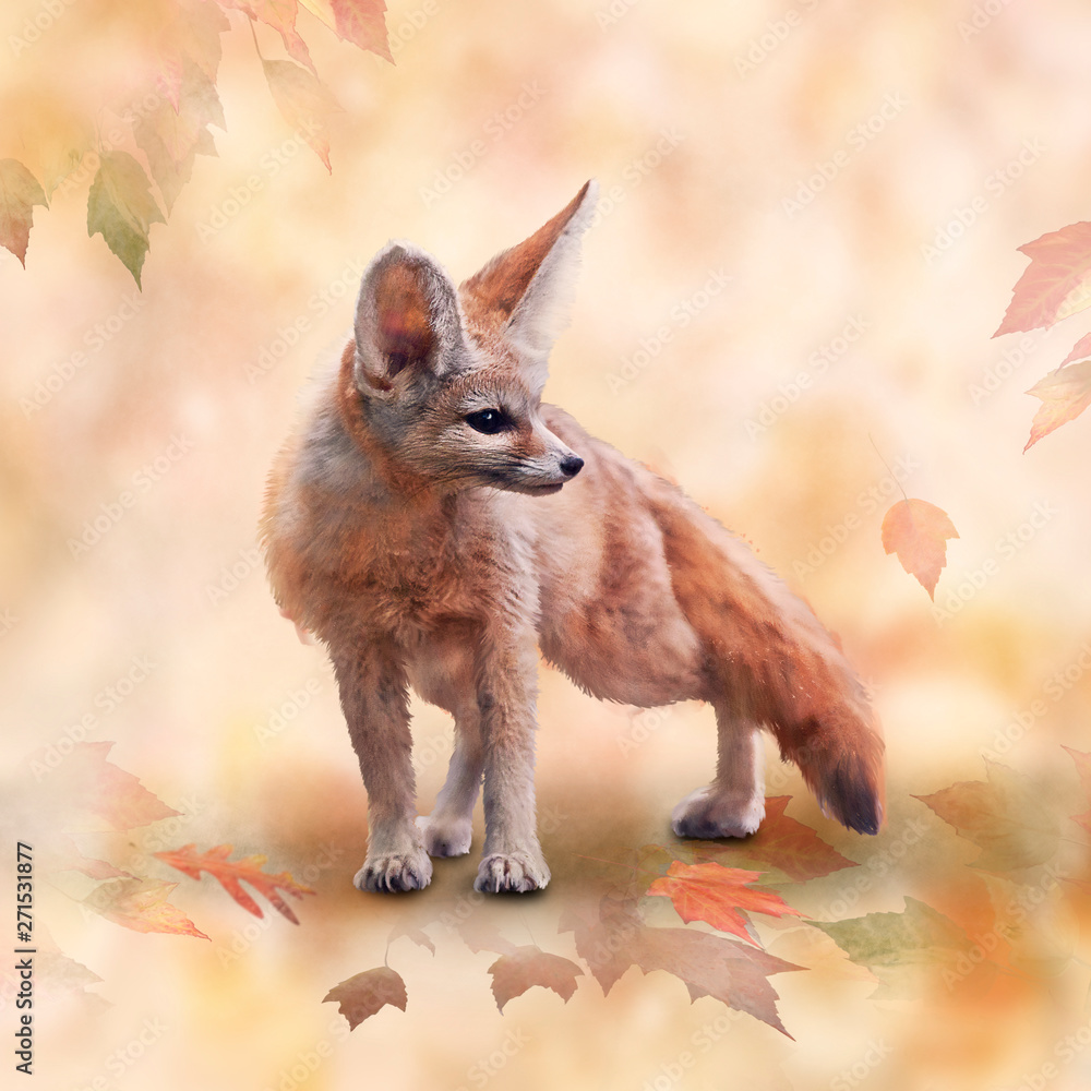 Obraz premium Fennec Fox watercolor illustration