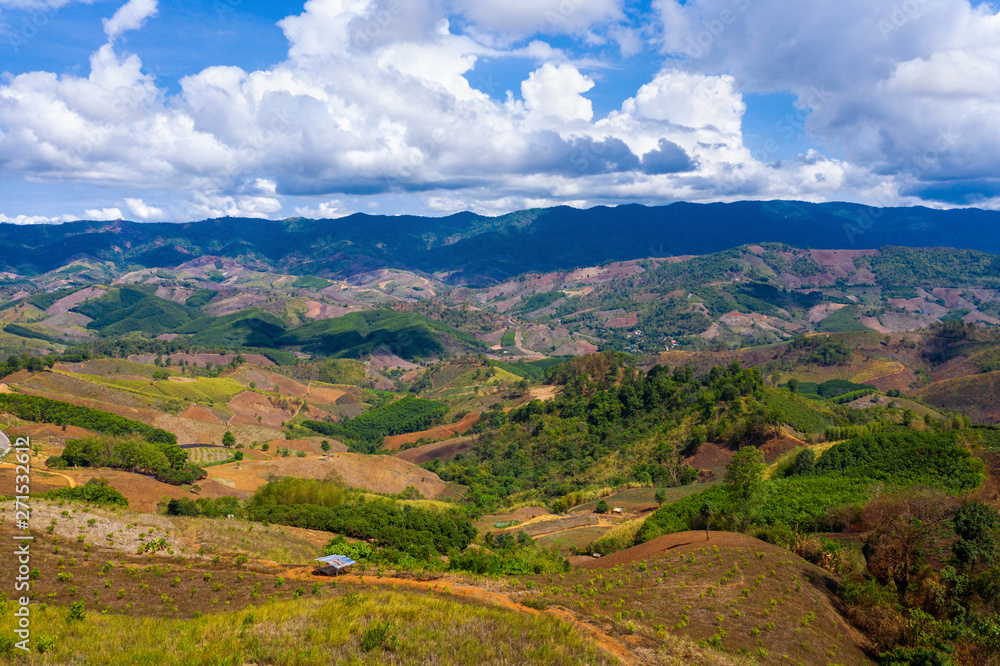 Fototapeta premium Aerial view of forest destroyed by agriculture of shifting cultivation on mountains.