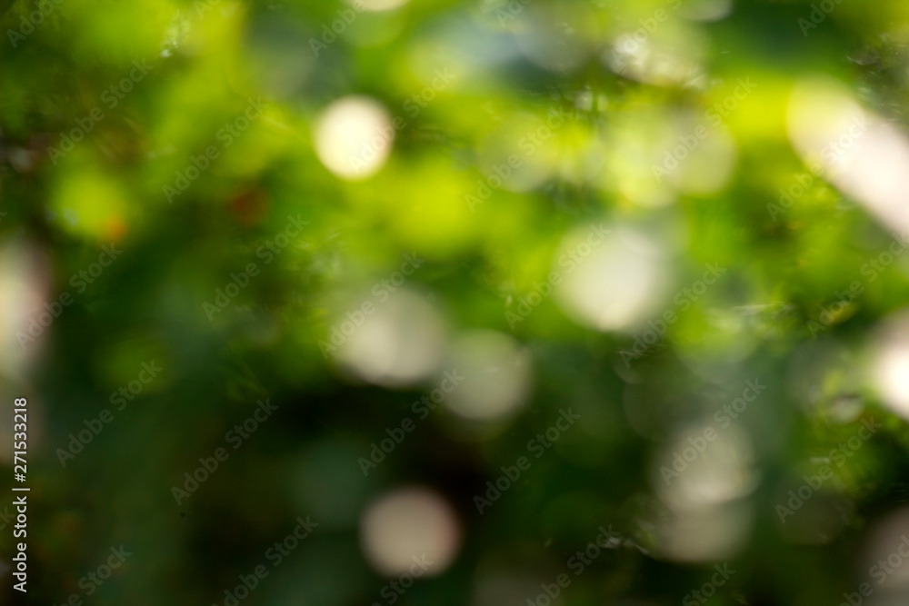 bokeh green background , abstract green background bokeh green background , abstract green background