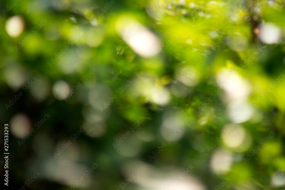 bokeh green background , abstract green background bokeh green background , abstract green background